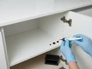 Cucarachas: servicio profesional en Vitacura, Santiago